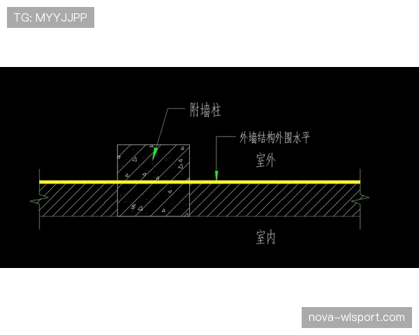 护腿板规则拆解：必须满足哪些条件才算合规？